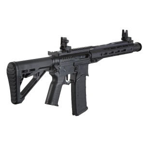 Zion Arms Gen 4 Nebula II 10'' aeg