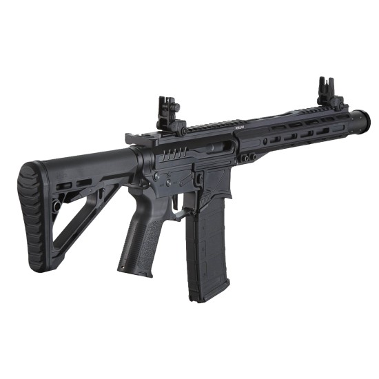 Zion Arms Gen 4 Nebula II 10'' aeg