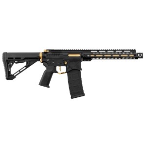 Réplique R15 mod 1 Zion Arms noire et or garde main long