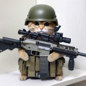 L’airsoft réunit stratégie, réalisme et plaisir pour chaque joueur.