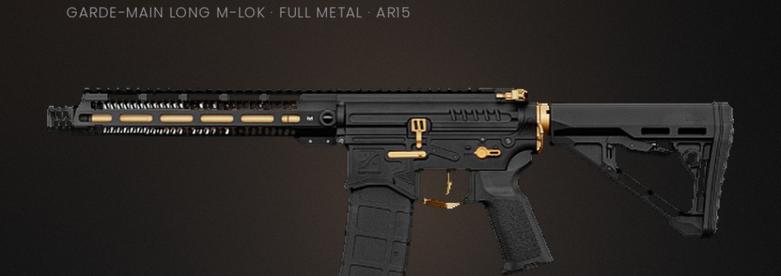 Zion Arms R15 Mod 1 Noir & Or : test, avis et guide d'achat (2026)